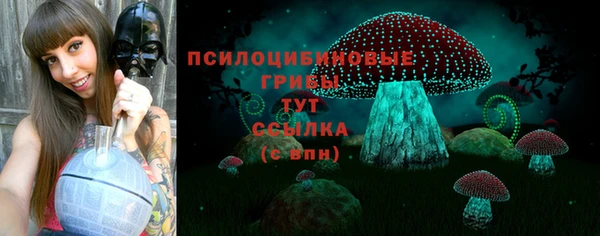 spice Алзамай