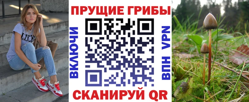 Псилоцибиновые грибы ЛСД  наркошоп  дарк нет наркотические препараты  Лабытнанги 